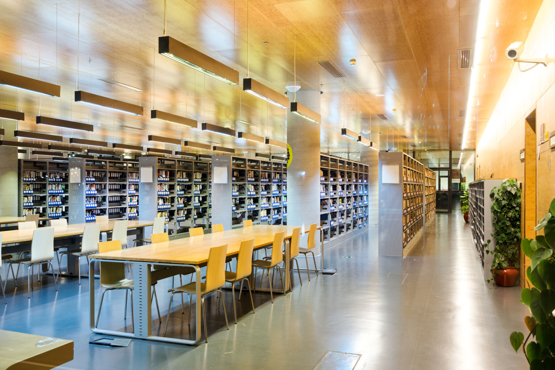 interior of modern public library