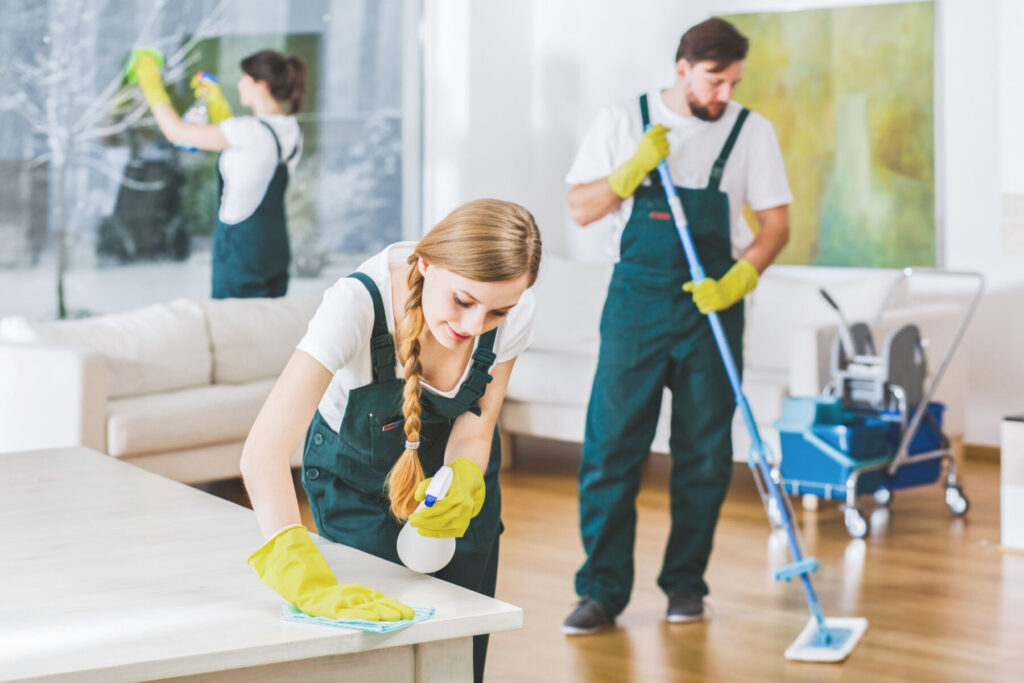 young cleaners maintaing the home neat