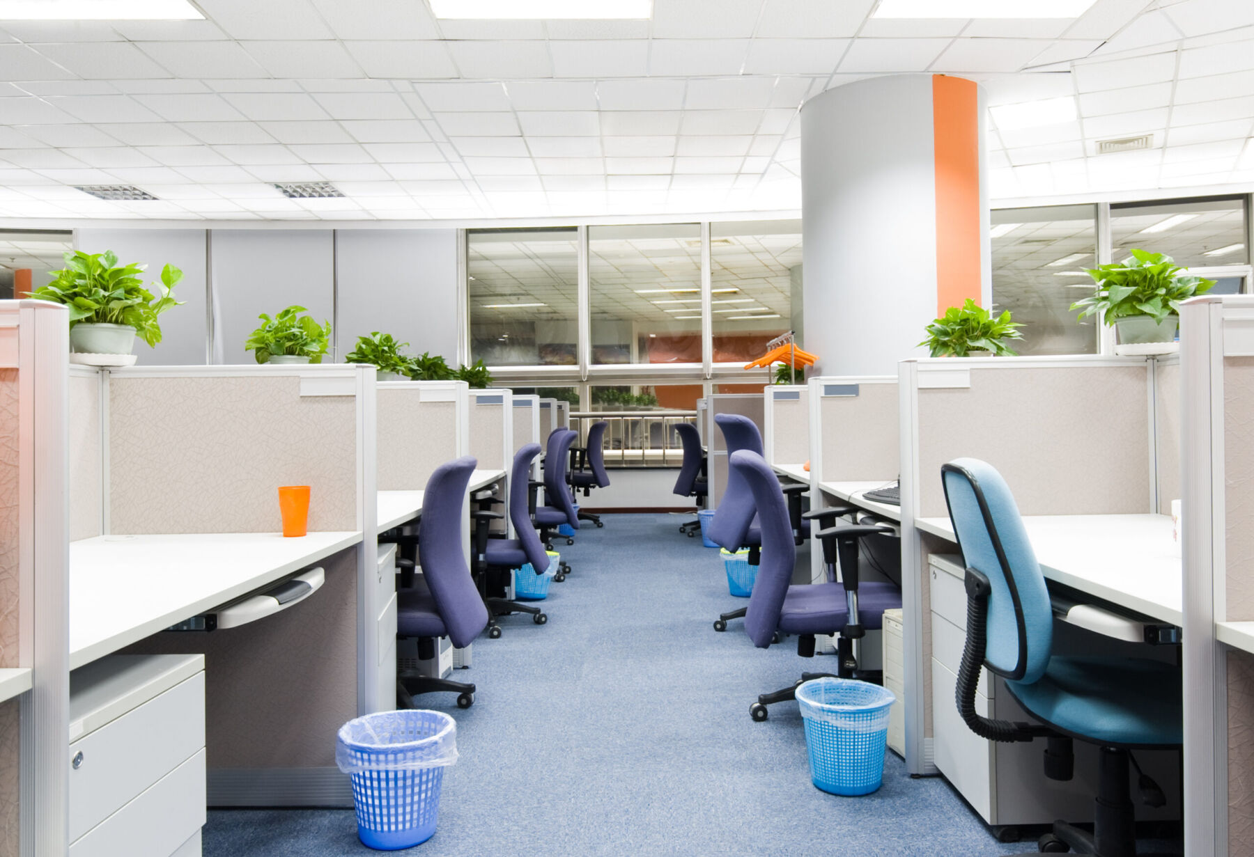 Clean Office Workspace Vacuumed Carpet