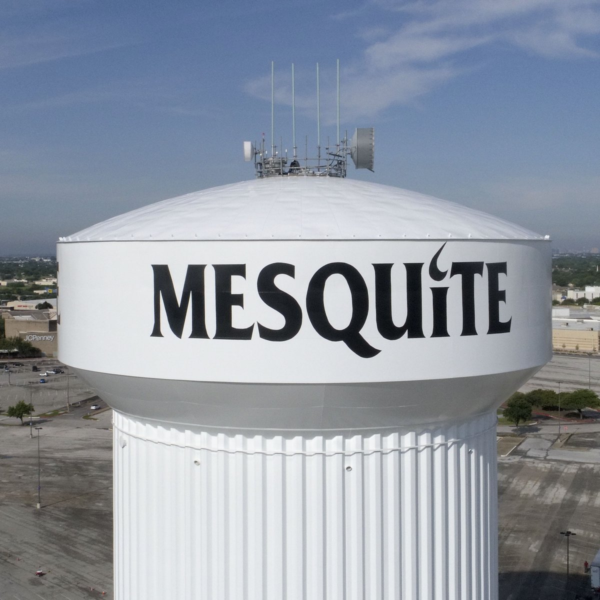 mesquite2