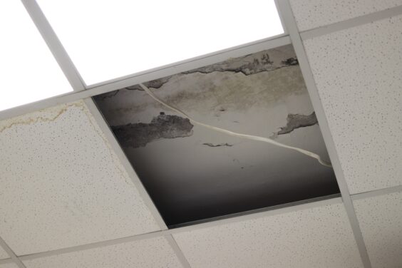 ceiling with mold on it in an office