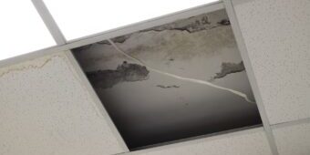 ceiling with mold on it in an office